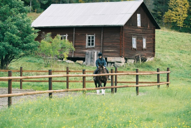 Weidezaunpfähle