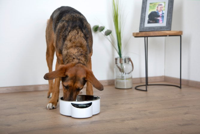 Intelligent Pet Bowl mit integrierter Waage für Hunde und Katzen