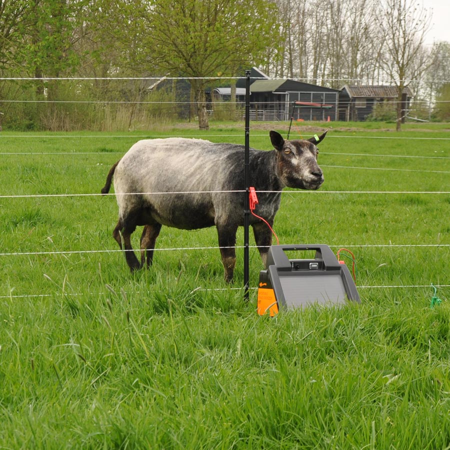 Gallagher SmartFence 2.0 (4Packung)