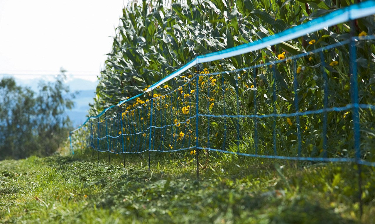 Signalband für WildNet