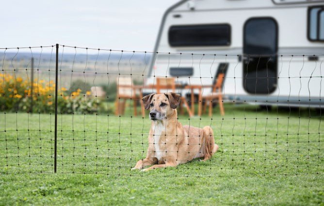 Begrenzungszaun Camping Net