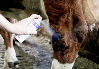 Blue Spray Blaufärbendes Haut- und Klauenpflegespray für Tiere