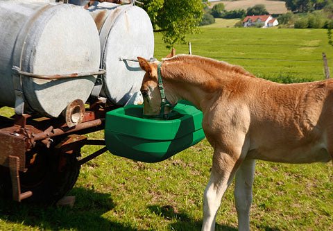 Doppel - Schwimmertränkebecken S60 für Weidefassanbau - agrocheval