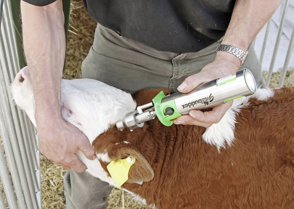 Enthornungsgerät GasBuddex - agrocheval