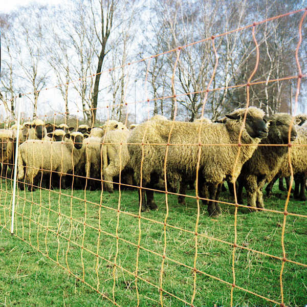 Euro Netz Weidenetz "FlexiNet" - Einzelspitz - agrocheval