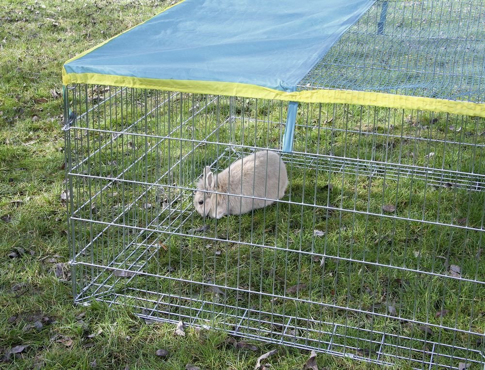 Freilaufgehege mit Ausbruchsperre - agrocheval