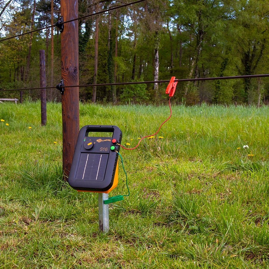 Gallagher S16 Solar - Weidezaungerät mit Batterie (6 V - 4 ah) - agrocheval