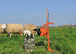 Gallagher SmartFence 2.0 (4Packung) - agrocheval