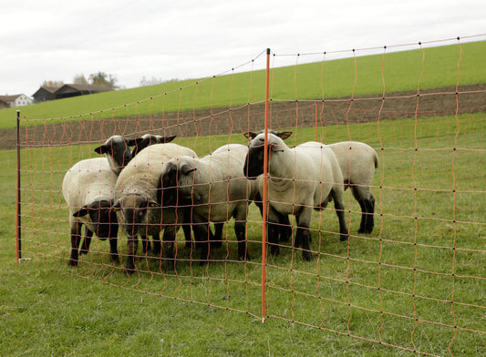 WolfNet Ovi Unser neues, preisgünstiges Wolfsabwehrnetz OVI mit extra starker Bodenlitze!