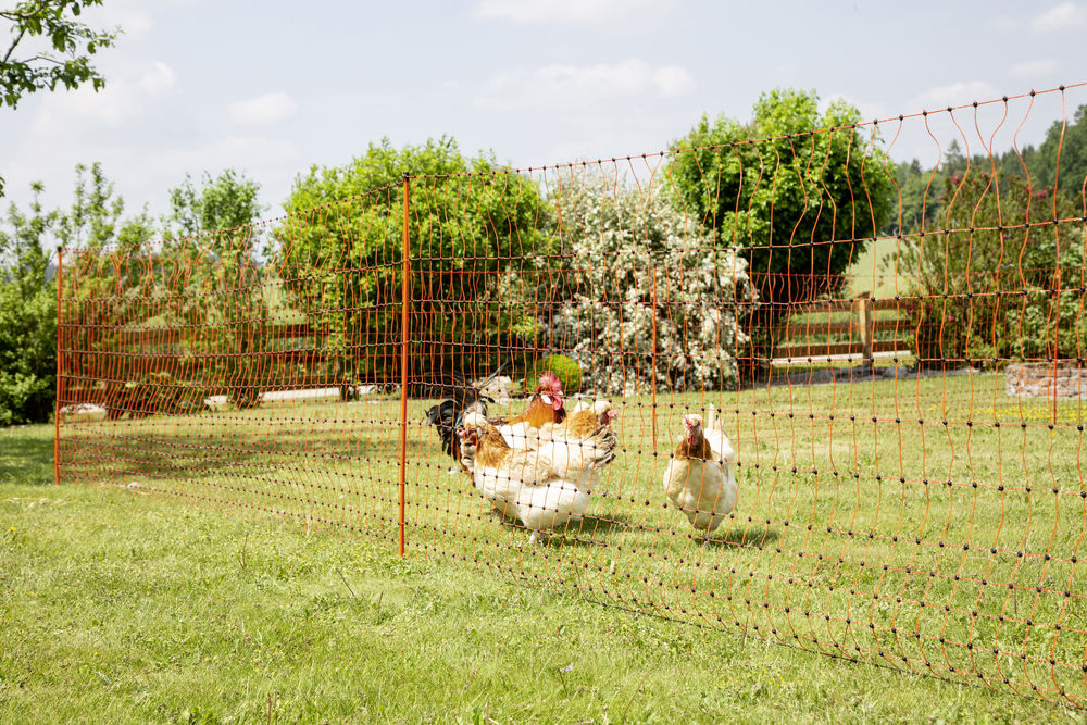 PoultryNet orange, elektrifizierbar