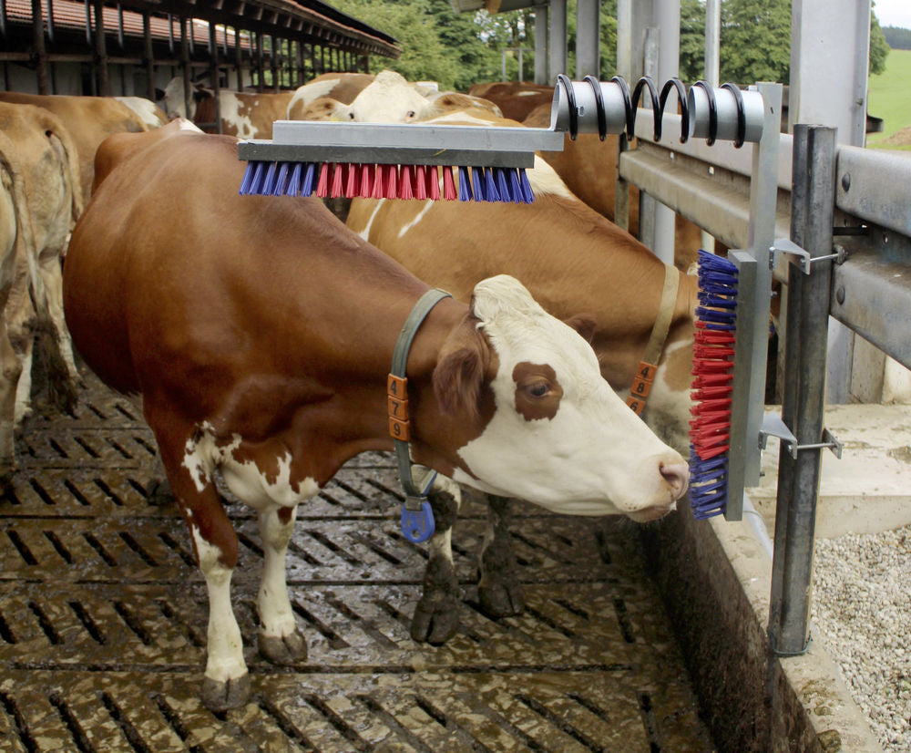 KERBL Viehbürste EuroFarm