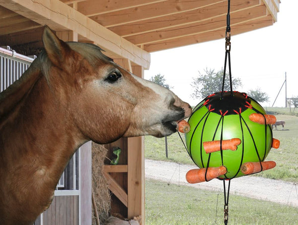KERBL Therapie-Spielball für Pferde