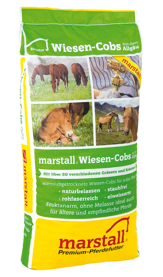 Marstall-Wiesen-Cobs